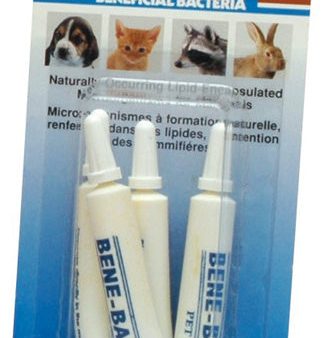 PET AG - Bene-Bac Plus Pet Gel 1 gm. (Carded) - 4 Pack Online